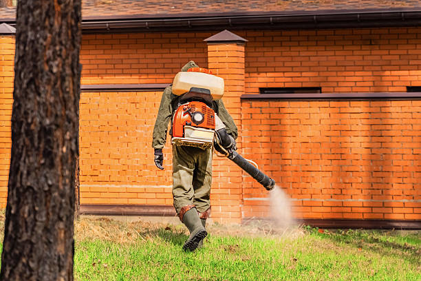 Bed Bug Clearance Verification and Documentation in Summerlin South